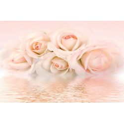 Wallpapers mural gentle roses in pastel colour