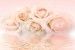 Wallpapers mural gentle roses in pastel colour