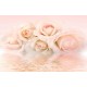Wallpapers mural gentle roses in pastel colour