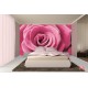 Wallpapers mural big pink rose 2 Wallpapers mural big pink rose 2