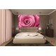 Wallpapers mural big pink rose 2 Wallpapers mural big pink rose 2