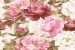 Wallpapers painted bouquet pink peonies