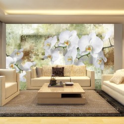 Wall mural wonderful white orchids on green background