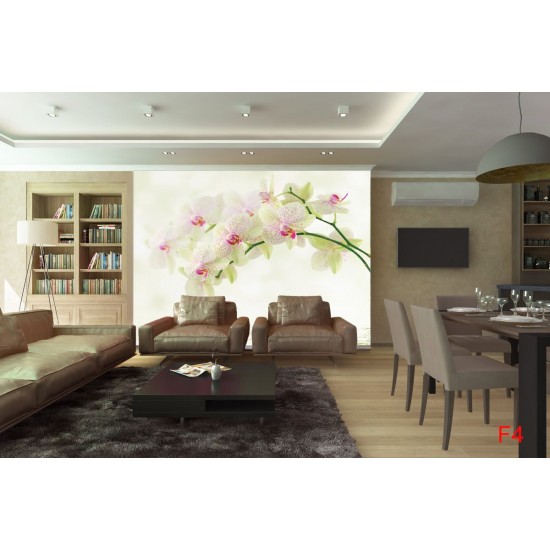 Photo murals tender branch green orchid and water Photo murals tender branch green orchid and water