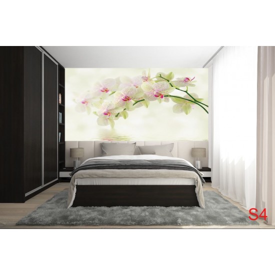 Photo murals tender branch green orchid and water Photo murals tender branch green orchid and water