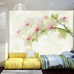 Photo murals tender branch green orchid and water Photo murals tender branch green orchid and water