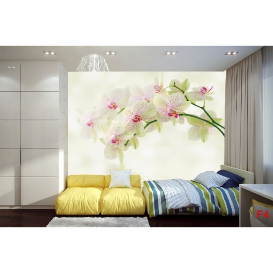 Photo murals tender branch green orchid and water Photo murals tender branch green orchid and water
