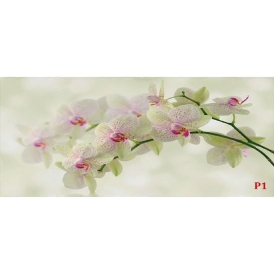 Photo murals tender branch green orchid and water Photo murals tender branch green orchid and water