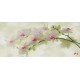 Photo murals tender branch green orchid and water Photo murals tender branch green orchid and water