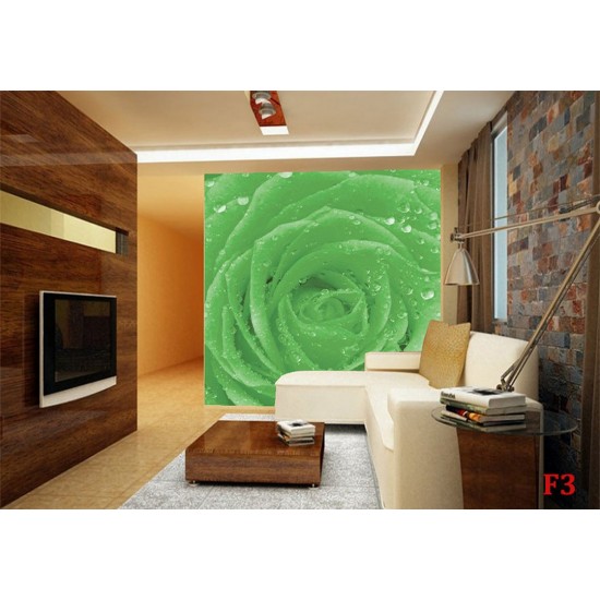 Photo mural green rose with water drops Photo mural green rose with water drops