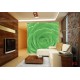 Photo mural green rose with water drops Photo mural green rose with water drops