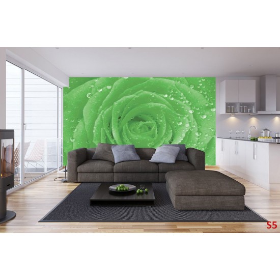Photo mural green rose with water drops Photo mural green rose with water drops