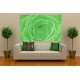 Photo mural green rose with water drops Photo mural green rose with water drops