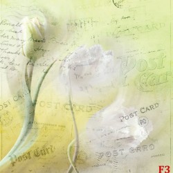 Wall mural vintage art style flower in two colors