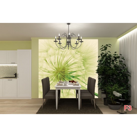 Wall murals wonderful dandelion in green Wall murals wonderful dandelion in green