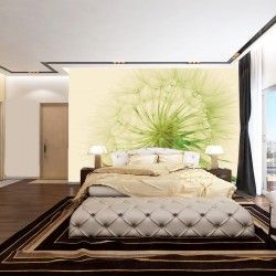 Wall murals wonderful dandelion in green