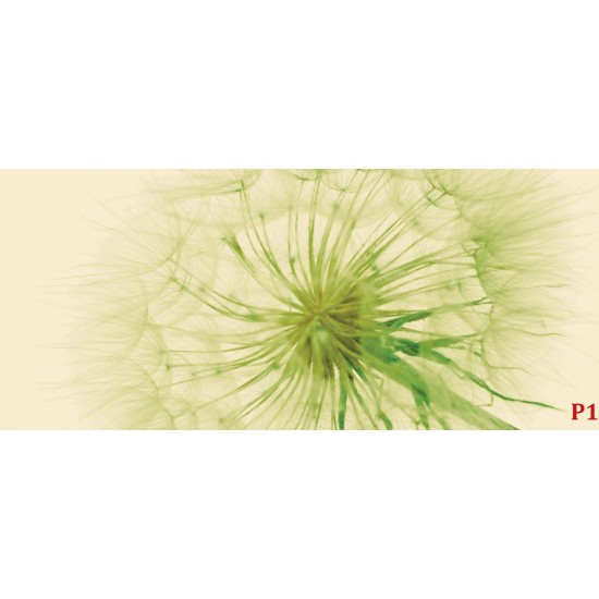 Wall murals wonderful dandelion in green Wall murals wonderful dandelion in green