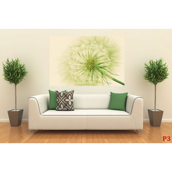 Wall murals wonderful dandelion in green Wall murals wonderful dandelion in green