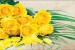 Wallpapers mural bouquet of yellow roses in 2 versions