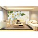 Photo murals white flowers on a background of feathers Photo murals white flowers on a background of feathers