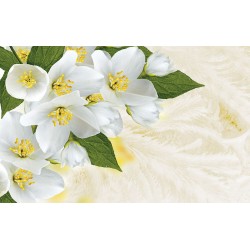 Photo murals white flowers on a background of feathers