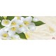 Photo murals white flowers on a background of feathers Photo murals white flowers on a background of feathers
