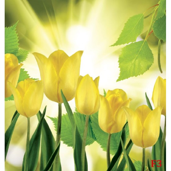 Wallpapers view of yellow tulips with sunshine