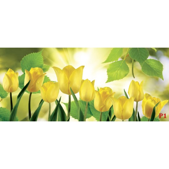 Wallpapers view of yellow tulips with sunshine