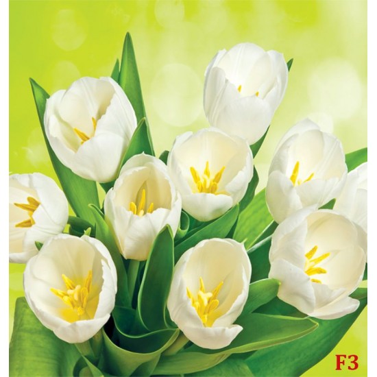 Photo murals bouquet of white tulips brilliant green background Photo murals bouquet of white tulips brilliant green background