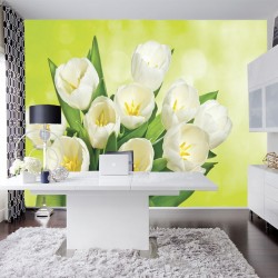 Photo murals bouquet of white tulips brilliant green background Photo murals bouquet of white tulips brilliant green background
