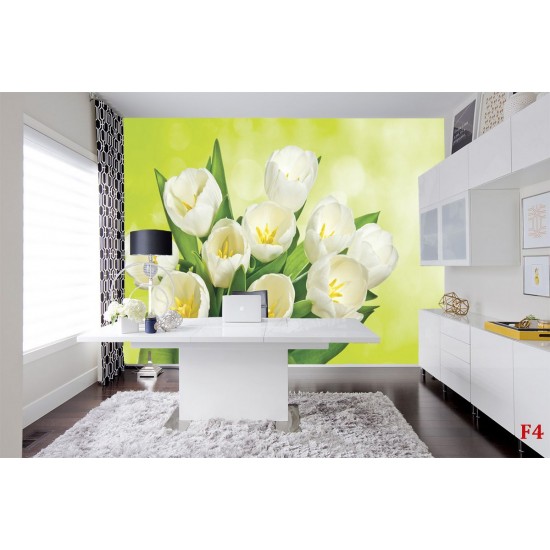 Photo murals bouquet of white tulips brilliant green background Photo murals bouquet of white tulips brilliant green background