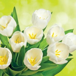Photo murals bouquet of white tulips brilliant green background
