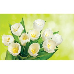 Photo murals bouquet of white tulips brilliant green background