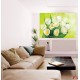 Photo murals bouquet of white tulips brilliant green background Photo murals bouquet of white tulips brilliant green background