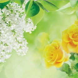Photo murals color combination of white and lilac and roses