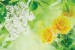 Photo murals color combination of white and lilac and roses