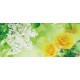 Photo murals color combination of white and lilac and roses Photo murals color combination of white and lilac and roses
