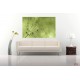 Wall murals simple dandelion green Wall murals simple dandelion green