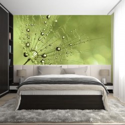 Wall murals simple dandelion green