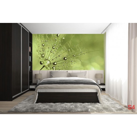 Wall murals simple dandelion green Wall murals simple dandelion green