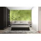 Wall murals simple dandelion green Wall murals simple dandelion green