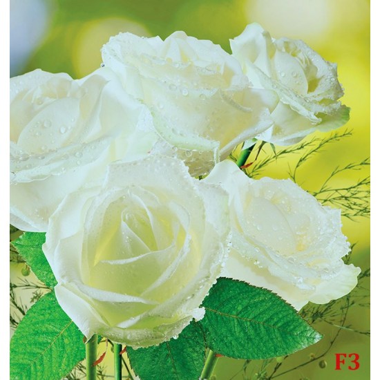 Photo murals bouquet of white roses on a green background