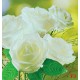 Photo murals bouquet of white roses on a green background
