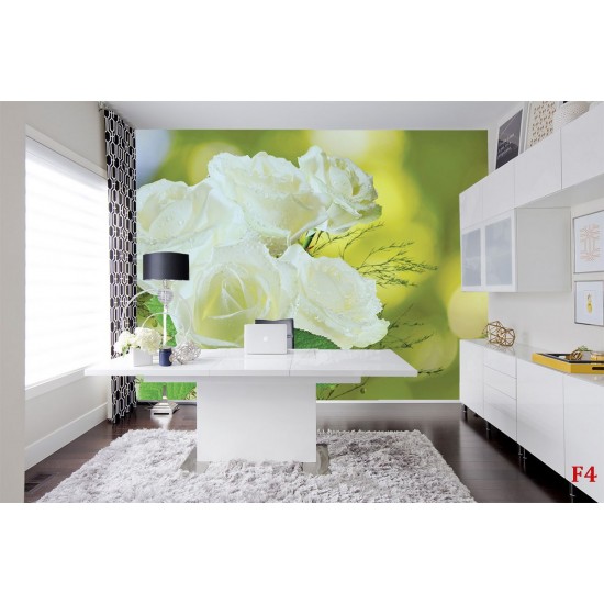 Photo murals bouquet of white roses on a green background