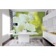 Photo murals bouquet of white roses on a green background