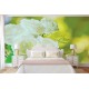 Photo murals bouquet of white roses on a green background