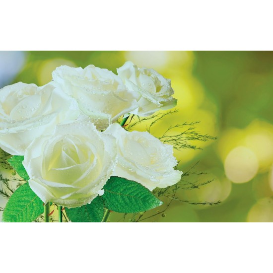 Photo murals bouquet of white roses on a green background