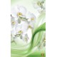 Wall murals white orchids on an abstract green background Wall murals white orchids on an abstract green background