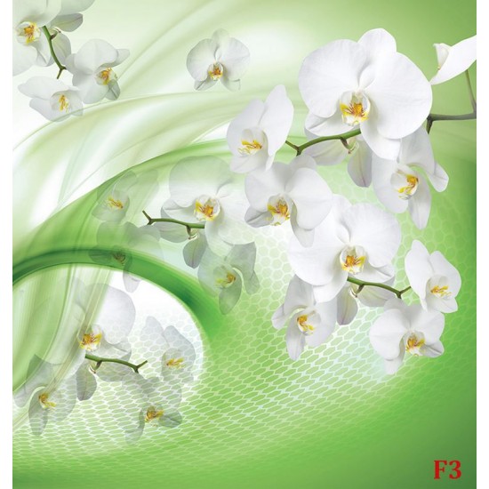 Wall murals white orchids on an abstract green background Wall murals white orchids on an abstract green background