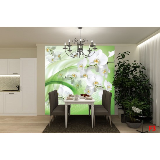 Wall murals white orchids on an abstract green background Wall murals white orchids on an abstract green background